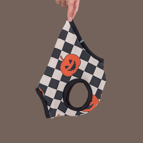 Shirt für italienisches Windspiel.