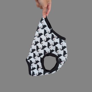 Shirt für italienisches Windspiel.