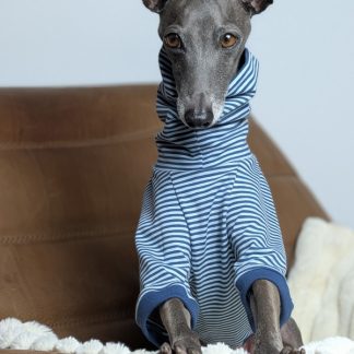 Italienisches Windspiel trägt Pullover Urban Tee in der Farbe jeans.