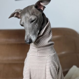 Italienisches Windspiel trägt Pullover Urban Tee in der Farbe taupe.