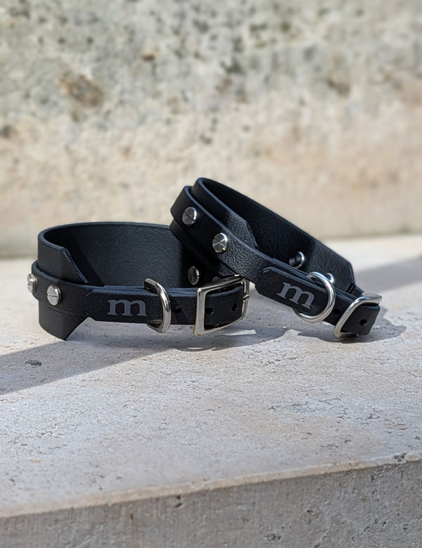 Halsband in schwarz für italienisches Windspiel.