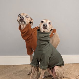 Italienisches Windspiel trägt Pullover Urban Tee in der Farbe oliv.