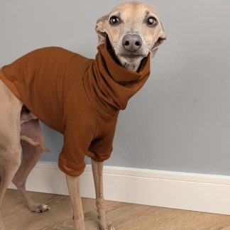 Italienisches Windspiel trägt Pullover Urban Tee in der Farbe rost.