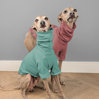 Italienisches Windspiel trägt Pullover Urban Tee in der Farbe altrosa und dunkelmint.