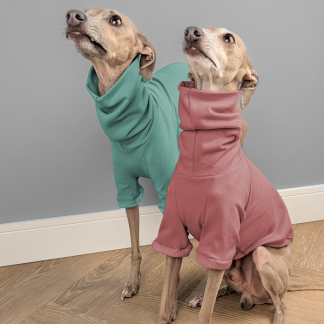 Italienisches Windspiel trägt Pullover Urban Tee in der Farbe altrosa und dunkelmint.