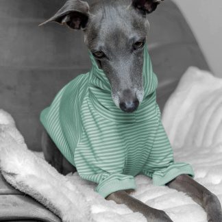 Italienisches Windspiel trägt Pullover Urban Tee in der Farbe mint.